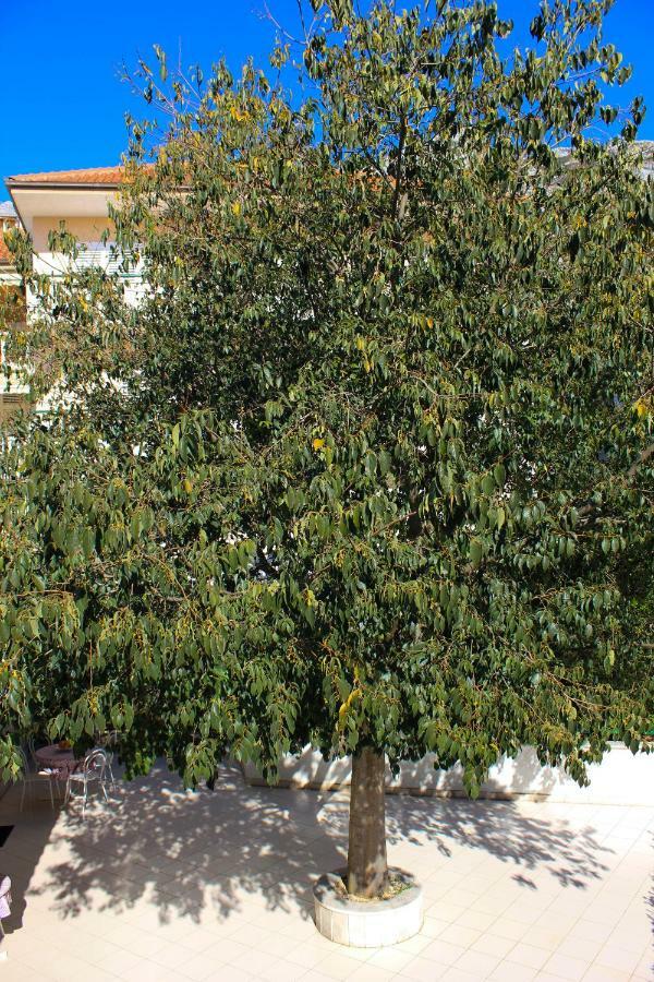 Apartments Pino ماكارسكا المظهر الخارجي الصورة